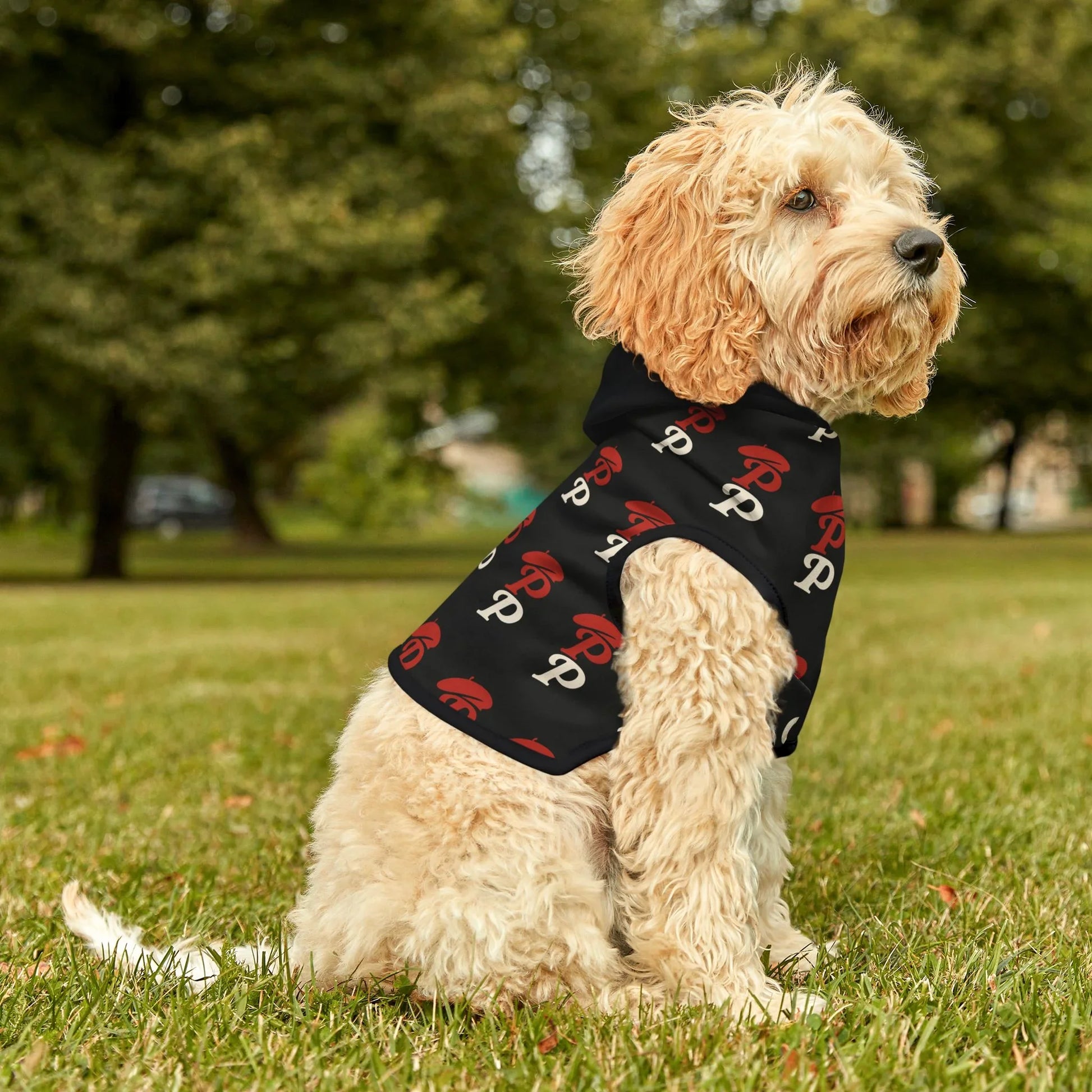 Cute Dog Hoodie | Pooch Poodle